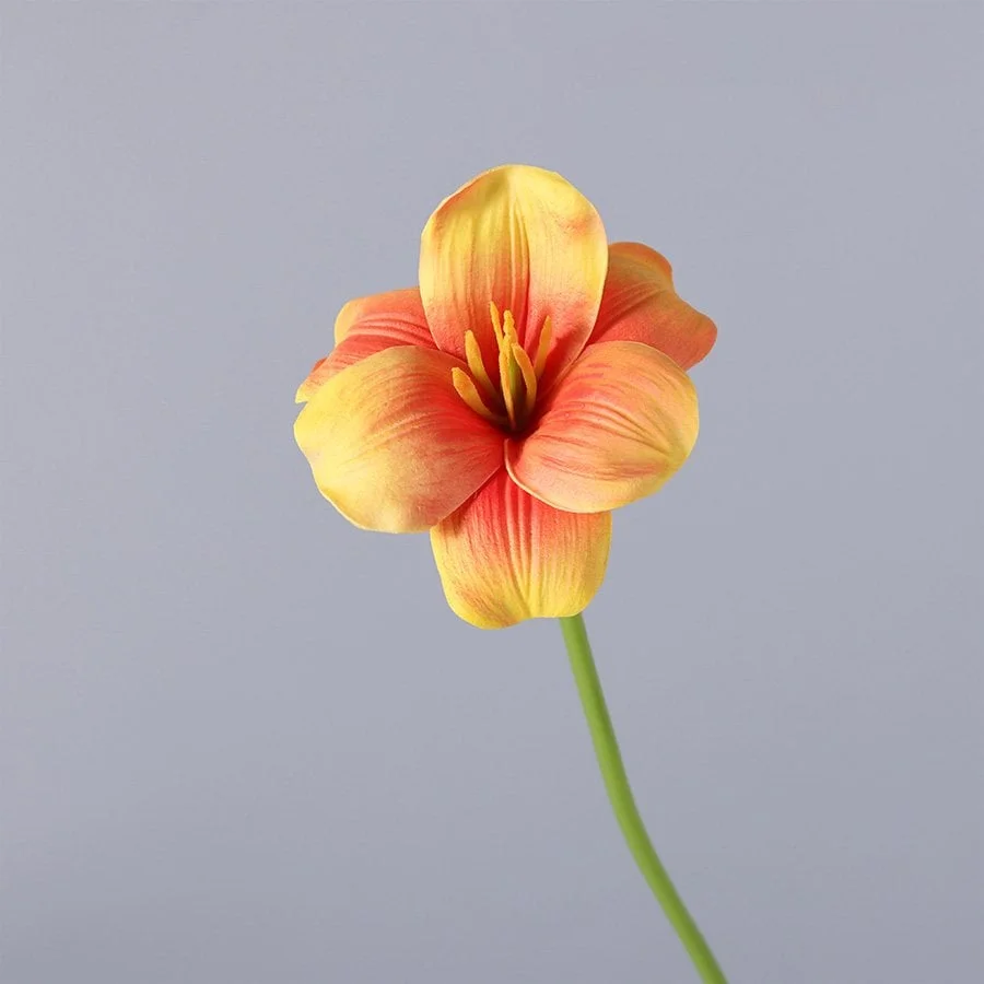 BÔNG TULIP CAM 3