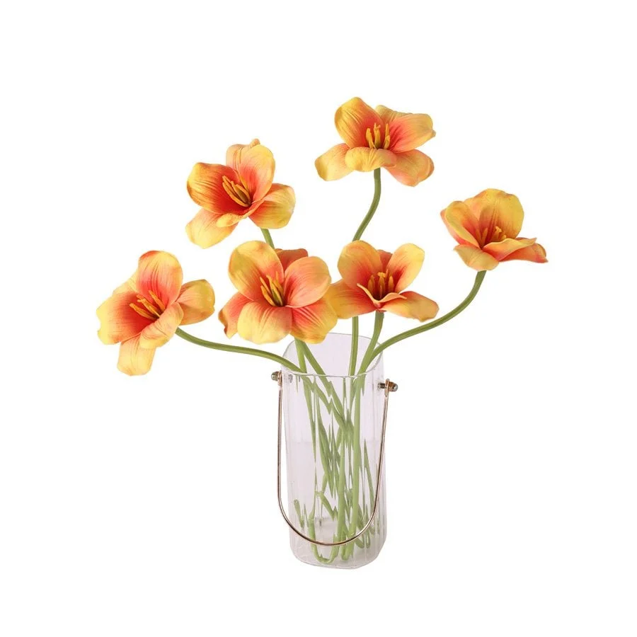 BÔNG TULIP CAM 5