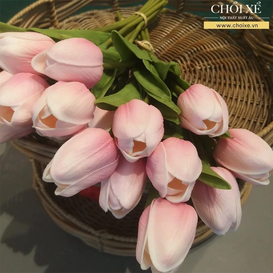 BÔNG TULIP HỒNG NHẠT 2