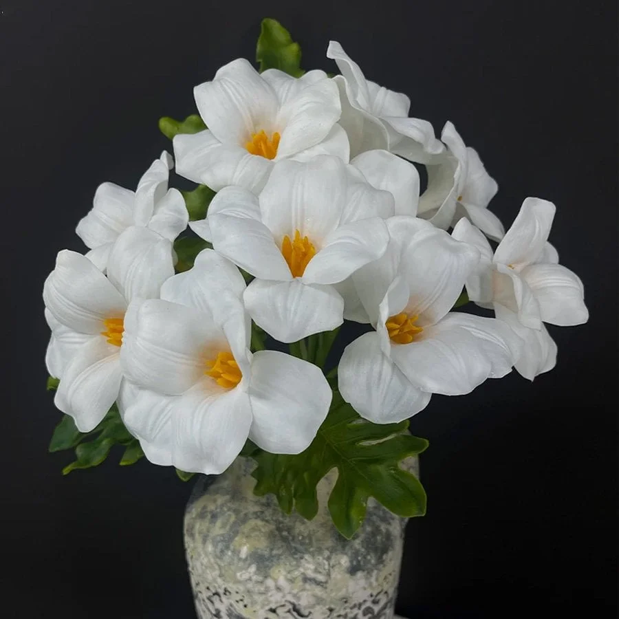 BÔNG TULIP MILKY WHITE 5
