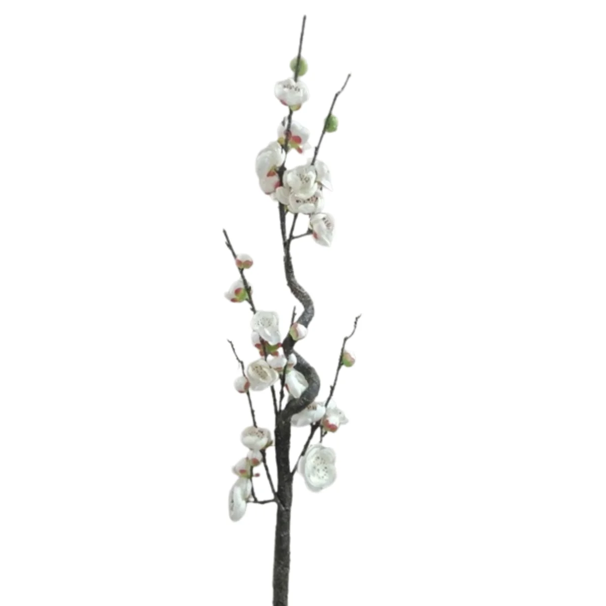 CÀNH ĐÀO XOẮN MÀU TRẮNG