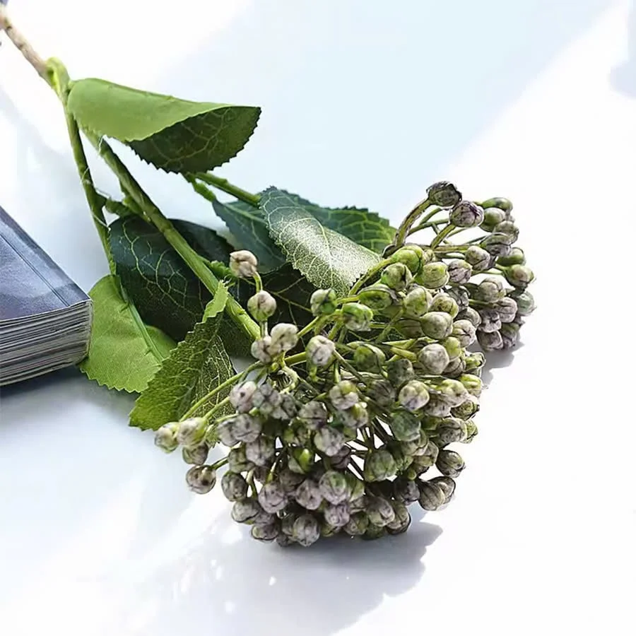 CÀNH CẨM TÚ CẦU NỤ 5