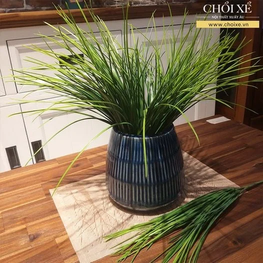 CỤM CỎ NGỌT 2