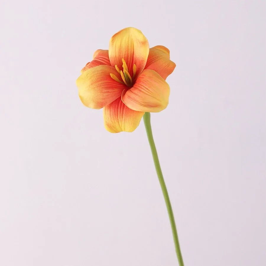 BÔNG TULIP CAM 4
