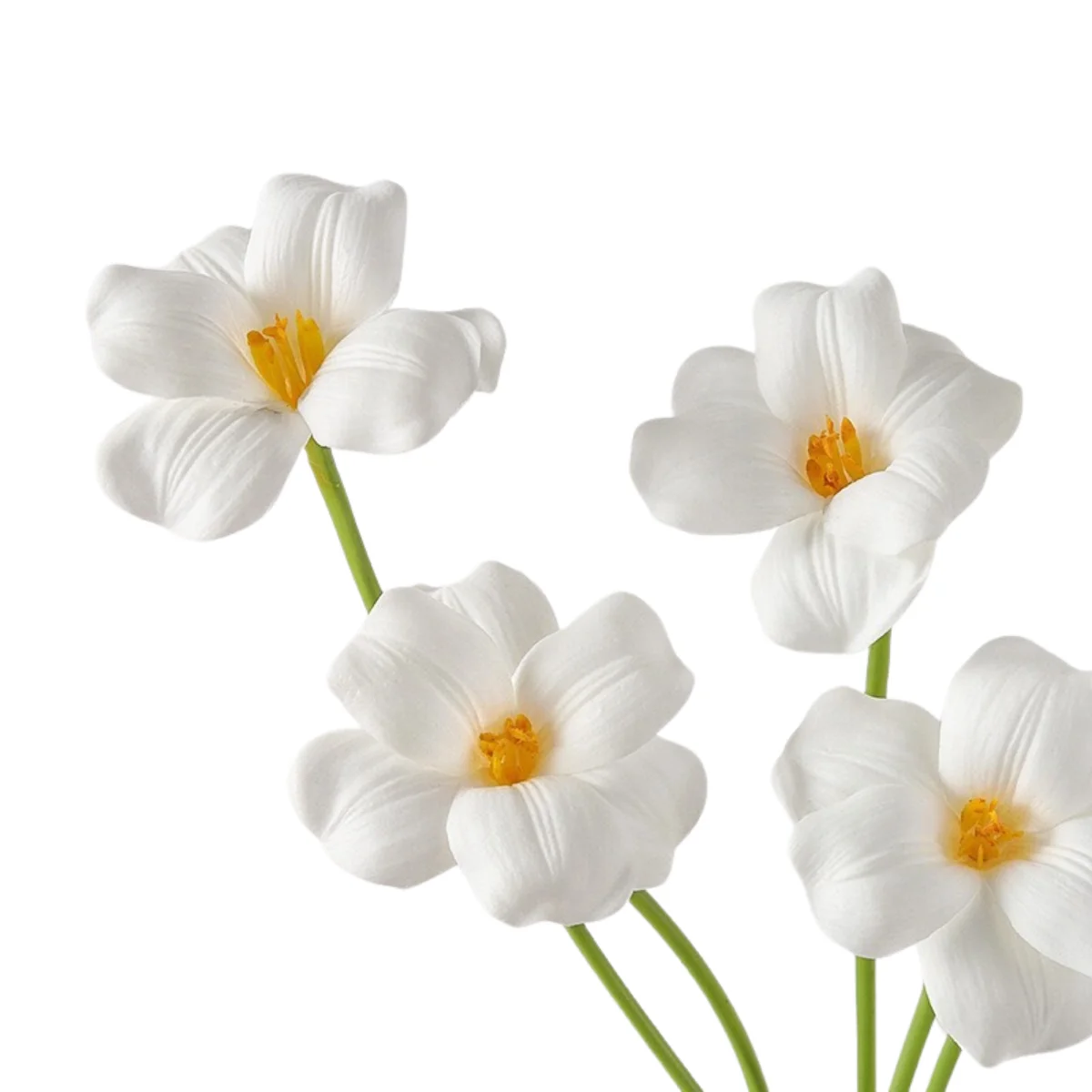 BÔNG TULIP MILKY WHITE 2