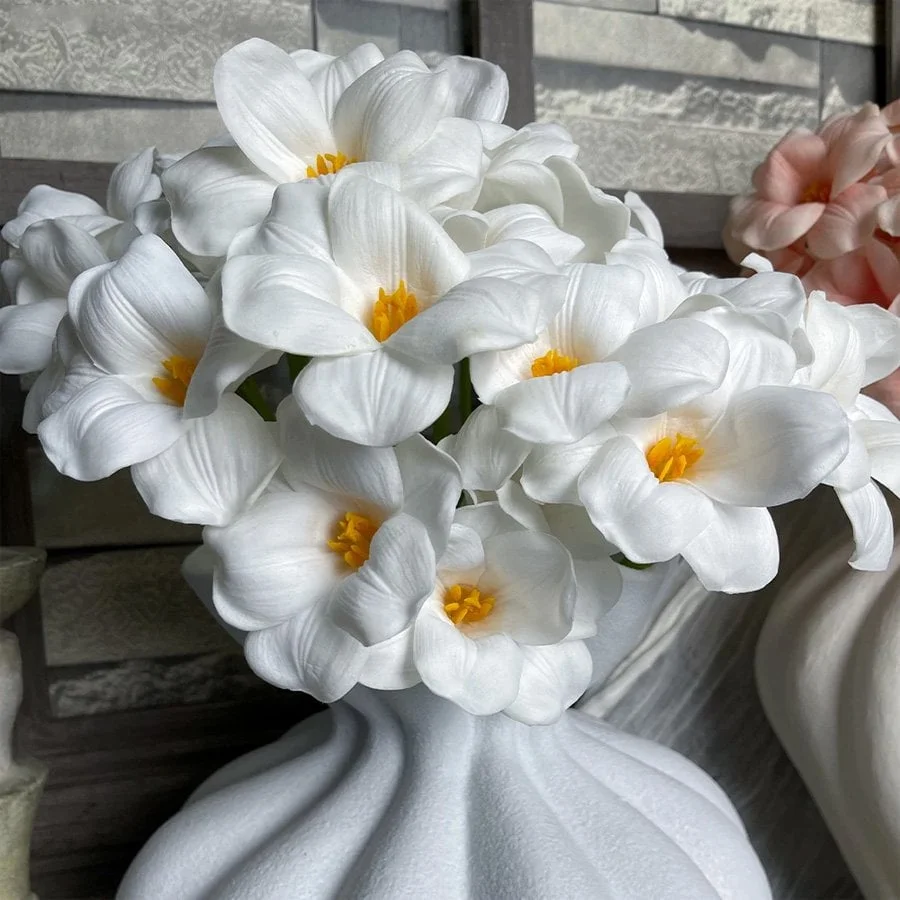 BÔNG TULIP MILKY WHITE 4