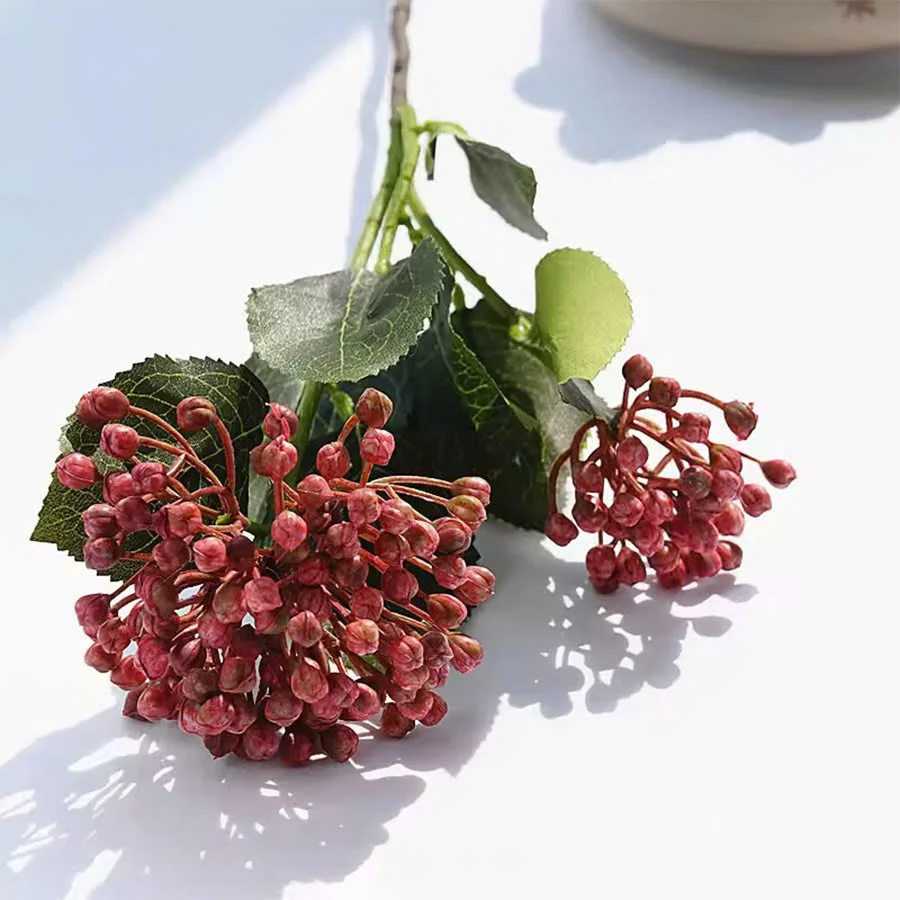 CÀNH CẨM TÚ CẦU NỤ 3