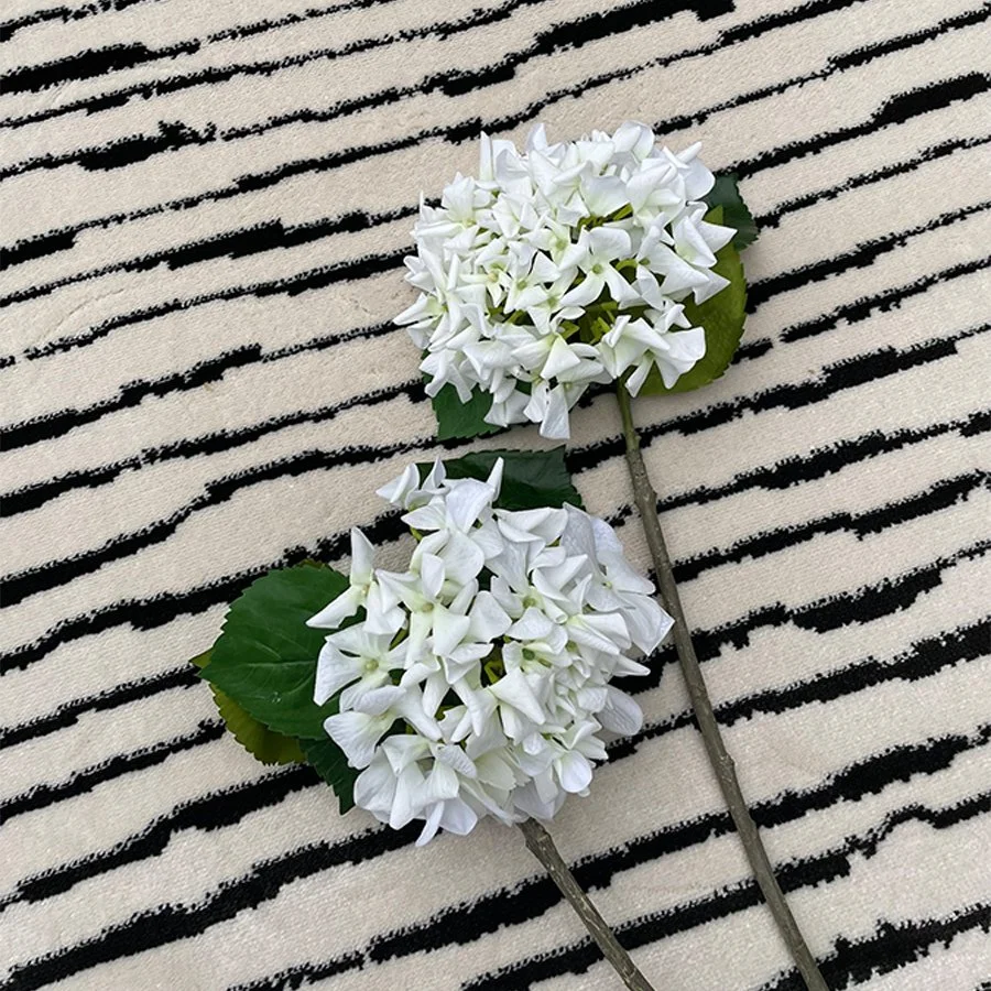HOA CẨM TÚ CẦU HÀ LAN MÀU TRẮNG 2