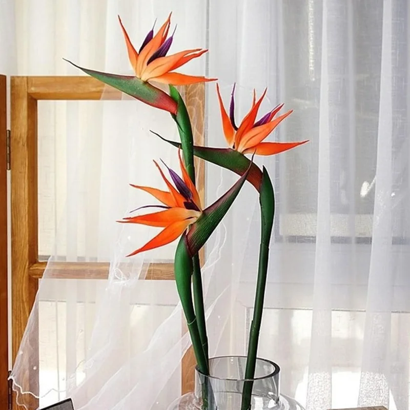 HOA THIÊN ĐIỂU 2
