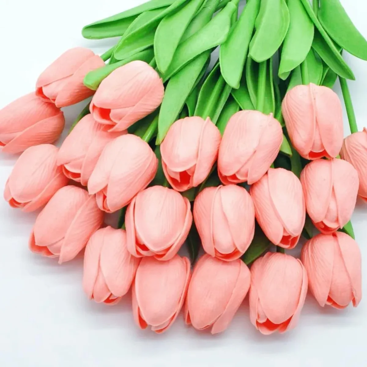 HOA TUPLIP MÀU HỒNG NHẠT 5